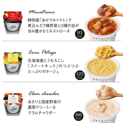 スープ9個セット（リボンラッピング）
